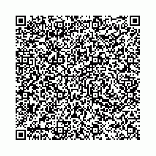 vCard 78031002933