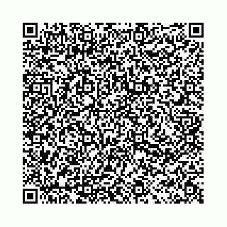 vCard 78031002935