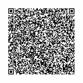 vCard 78031002941