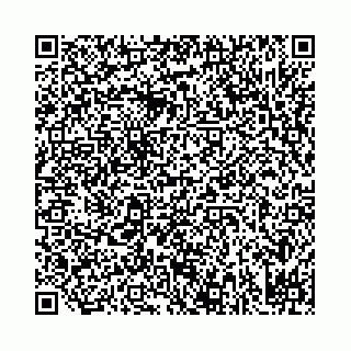 vCard 78031002963