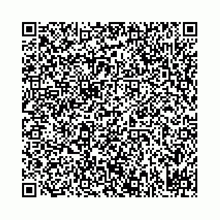 vCard 78031002965