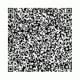 vCard 78031002976