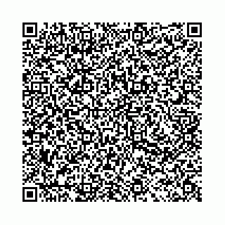 vCard 78031002977