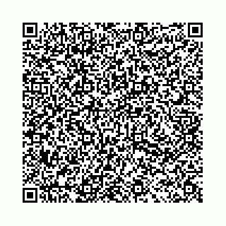 vCard 78031002979