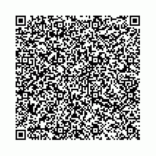 vCard 78031002980