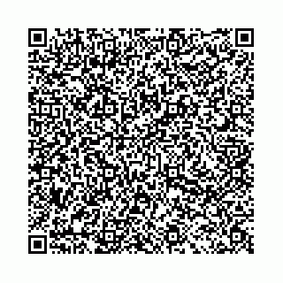 vCard 78031002987