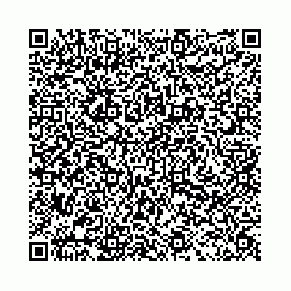vCard 78031002989