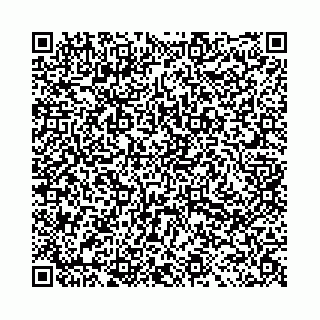 vCard 78031002995
