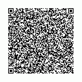 vCard 78031002999