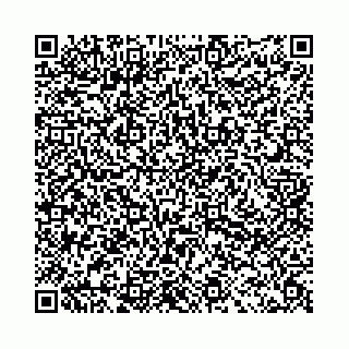 vCard 78031003000