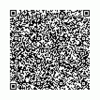 vCard 78031003002