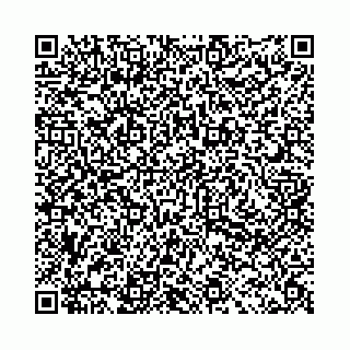 vCard 78031003004