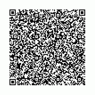 vCard 78031003041