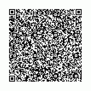 vCard 78031003065