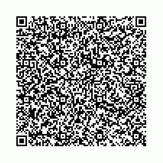 vCard 78031003077