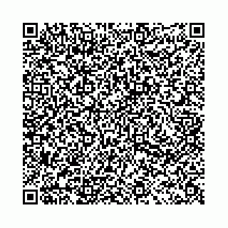 vCard 78031003079