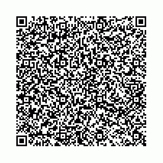vCard 78031003085