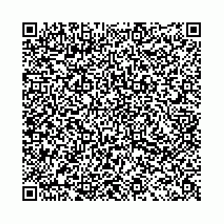 vCard 78031003095