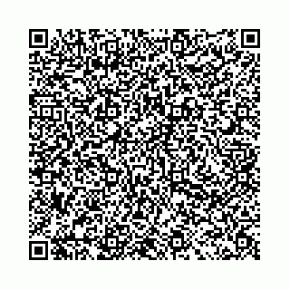 vCard 78031003097