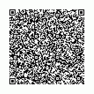 vCard 78031003136