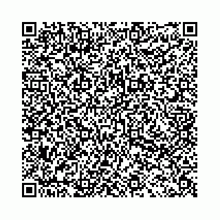vCard 78031003141