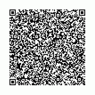 vCard 78031003153