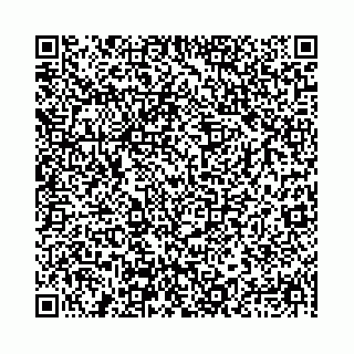 vCard 78031003161