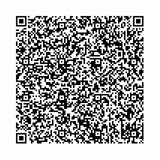 vCard 78031003166