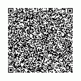 vCard 78031003167