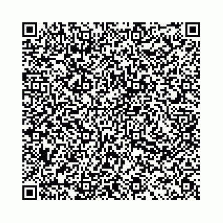 vCard 78031003176