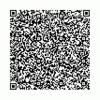 vCard 78031003198