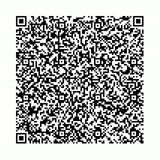 vCard 78031003730