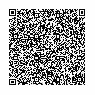 vCard 78031003739