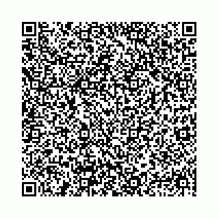 vCard 78031006585