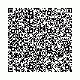 vCard 78031008839