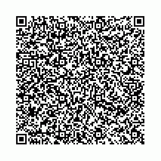 vCard 78031009039