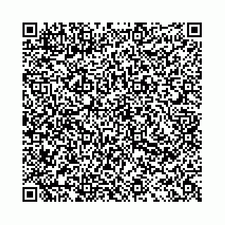 vCard 78031009439