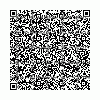 vCard 78031009539