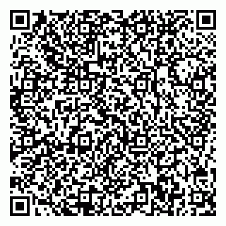 vCard 78032500039