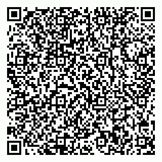 vCard 78032500042