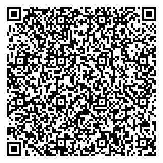 vCard 78032500053