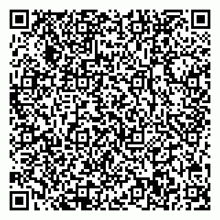 vCard 78032500081