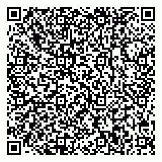 vCard 78032500083
