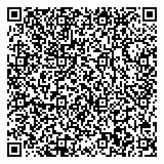 vCard 78032500110