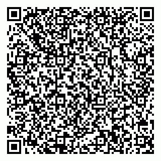 vCard 78032500313