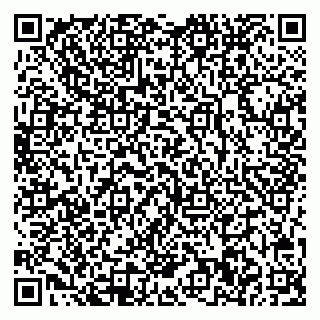 vCard 78032500370