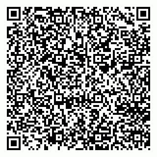 vCard 78032500390