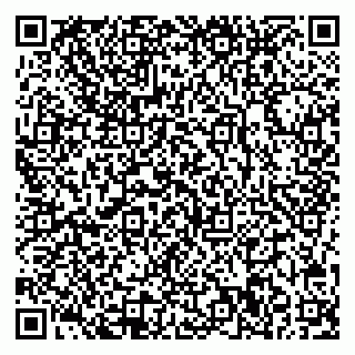 vCard 78032500393