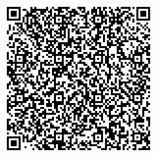 vCard 78033000039