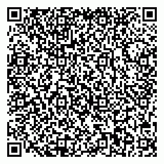 vCard 78033000739